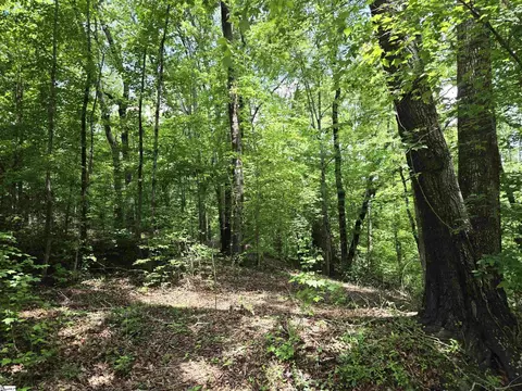 00 Ross Dr, Starr, SC 29684