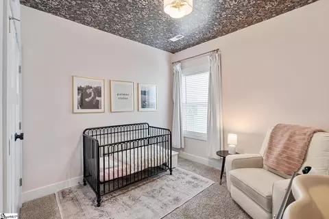 206 Walking Stick Way, Pelzer, SC 29669 photo 27