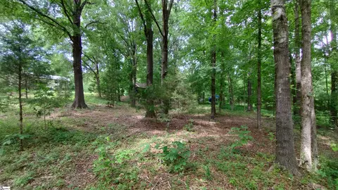38 Harbor Crest Dr, Waterloo, SC 29384 photo 29