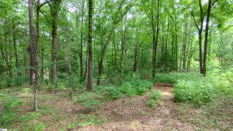 38 Harbor Crest Dr, Waterloo, SC 29384 photo 28