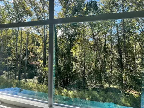 113 Pendleton Place Way, Pendleton, SC 29670 photo 25