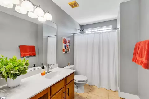 Bath - 103 Circle Grove Ct, Greer, SC 29650 photo 3 of 3