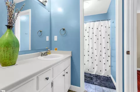 Bath - 9 River Way Dr, Greer, SC 29651 photo 2 of 4