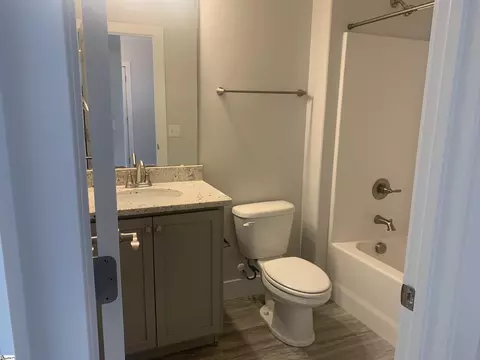 Bath - 209 Claridge Way, Greer, SC 29651 photo 3 of 3