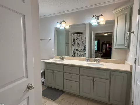 111 Firethorne Ct, Greer, SC 29650 photo 20