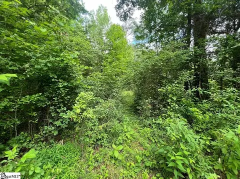 0 Old Pendleton Rd, Easley, SC 29642 photo 6