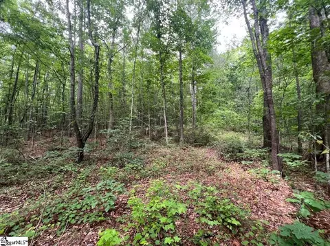 0 Old Pendleton Rd, Easley, SC 29642 photo 3