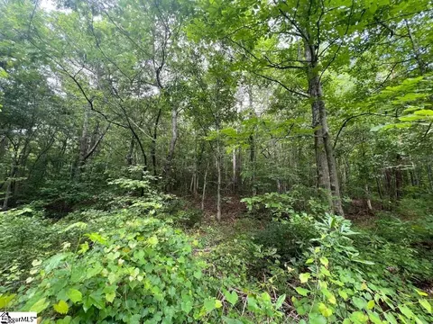 0 Old Pendleton Rd, Easley, SC 29642 photo 5