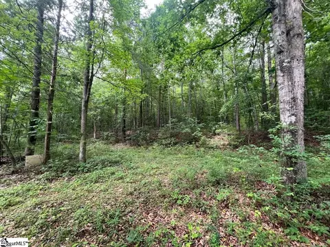 0 Old Pendleton Rd, Easley, SC 29642 photo 4