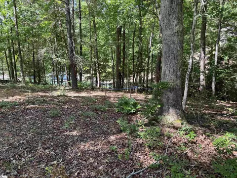 102 Sun Dew Ct, Sunset, SC 29685 photo 7