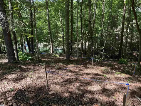 102 Sun Dew Ct, Sunset, SC 29685 photo 5