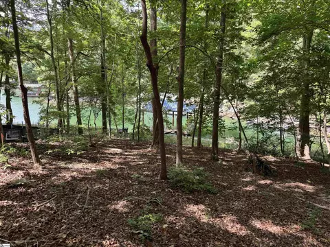 102 Sun Dew Ct, Sunset, SC 29685 photo 4