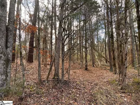 12396 Neely Ferry Rd, Waterloo, SC 29384 photo 3