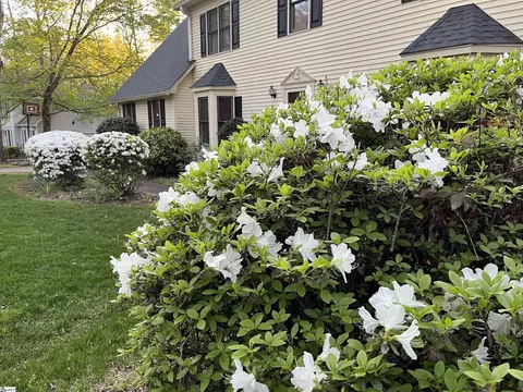 111 Halifax Rd, Easley, SC 29642 photo 37
