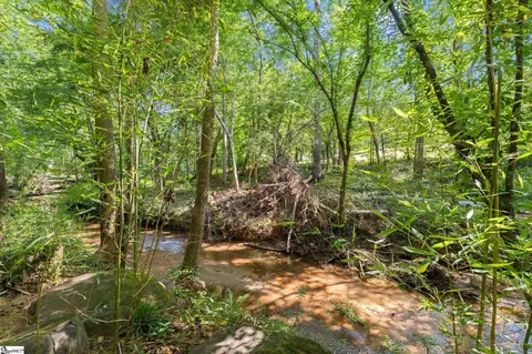 625 Germander Ct, Greer, SC 29651 photo 5