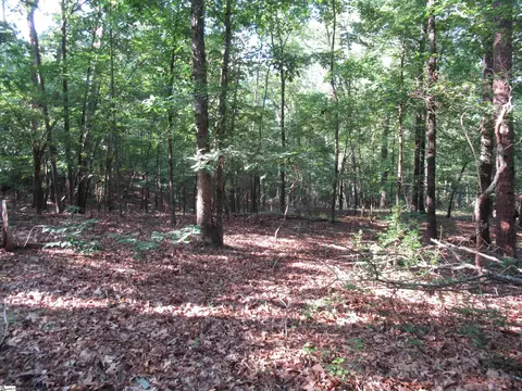 00 Murphy Rd, Sunset, SC 29685 photo 7