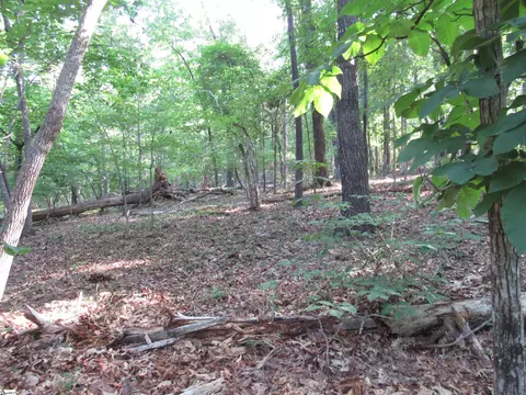00 Murphy Rd, Sunset, SC 29685 photo 5