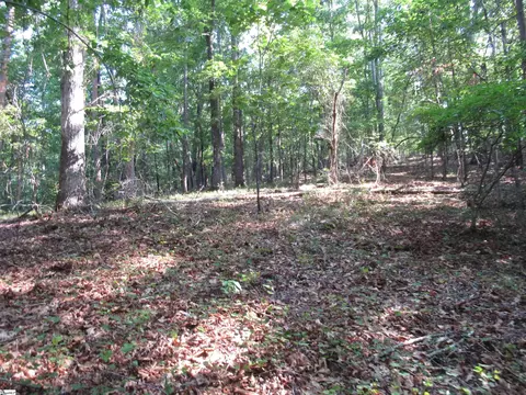 00 Murphy Rd, Sunset, SC 29685 photo 17