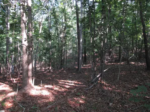 00 Murphy Rd, Sunset, SC 29685 photo 16