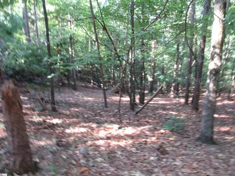 00 Murphy Rd, Sunset, SC 29685 photo 10