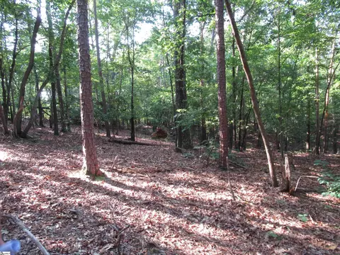 00 Murphy Rd, Sunset, SC 29685 photo 8