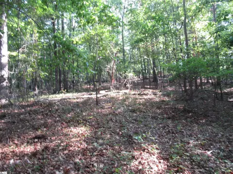 00 Murphy Rd, Sunset, SC 29685 photo 18