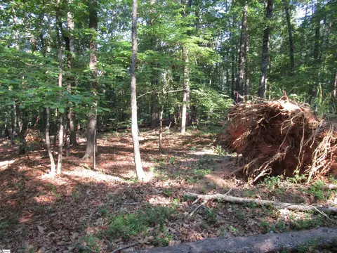 00 Murphy Rd, Sunset, SC 29685 photo 11