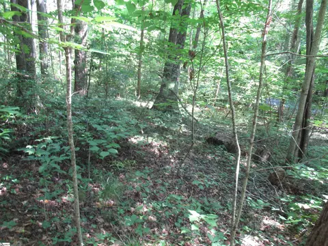 00 Gauley Falls Rd #LOT 13 GAULEY FALLS, Pickens, SC 29671