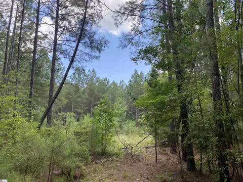 00 Indian Creek Dr, Clinton, SC 29325