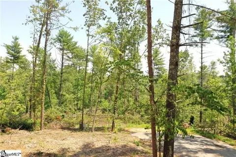 113 Sweetshrub Ct, Sunset, SC 29685
