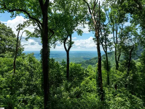 22 Raven Rd, Landrum, SC 29356