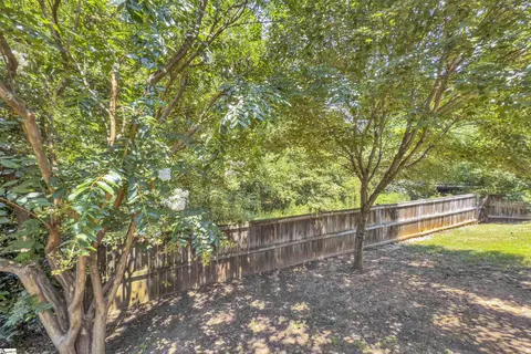 6 Roanoke Way, Greenville, SC 29607 photo 27
