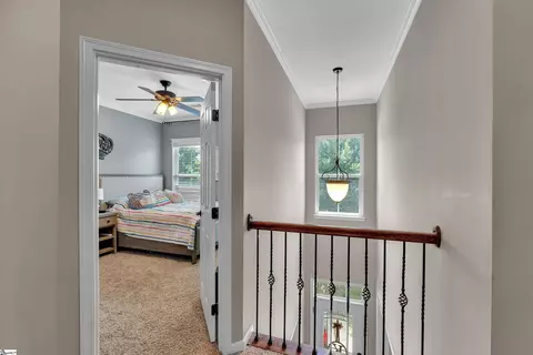 6 Roanoke Way, Greenville, SC 29607 photo 19