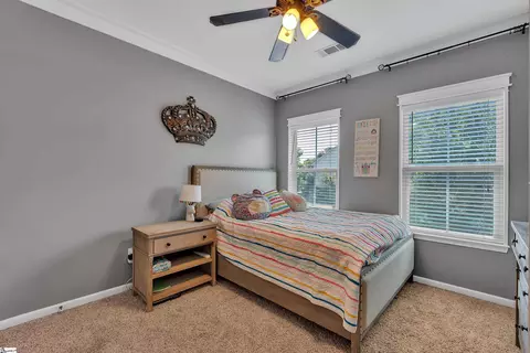 6 Roanoke Way, Greenville, SC 29607 photo 18
