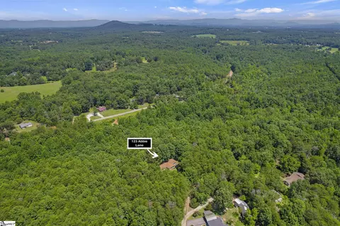 123 Abbie Ln, Central, SC 29630 photo 6