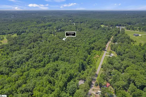 123 Abbie Ln, Central, SC 29630 photo 9