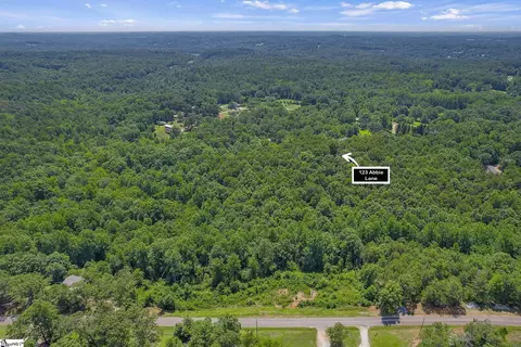 123 Abbie Ln, Central, SC 29630 photo 10
