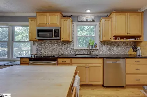 205 Firethorne Dr, Greer, SC 29650 photo 19