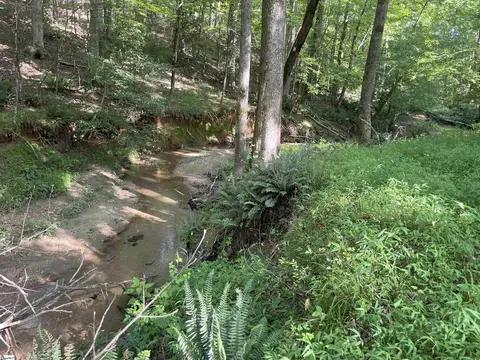 158 Brockeric Rd, Honea Path, SC 29654 photo 19