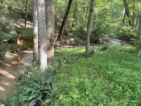 158 Brockeric Rd, Honea Path, SC 29654 photo 20