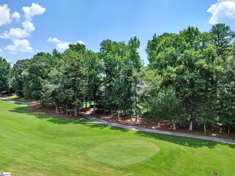 View/Area - 9 Latour Way, Greer, SC 29650 photo 2 of 5