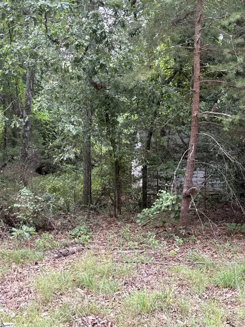 170 Railroad St, Liberty, SC 29657