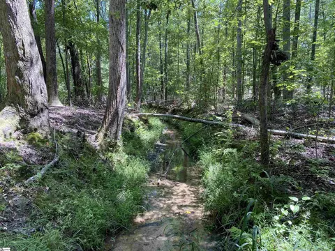 00 Snow Rd, Pelzer, SC 29669 photo 17