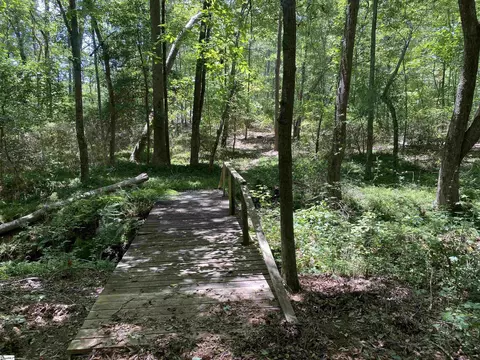 00 Snow Rd, Pelzer, SC 29669 photo 10