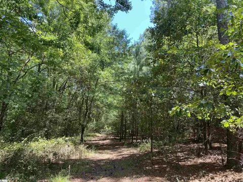 00 Snow Rd, Pelzer, SC 29669 photo 25