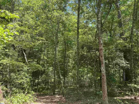 00 Snow Rd, Pelzer, SC 29669 photo 21