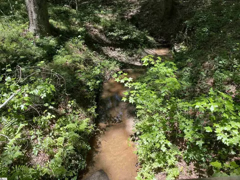 00 Snow Rd, Pelzer, SC 29669 photo 11