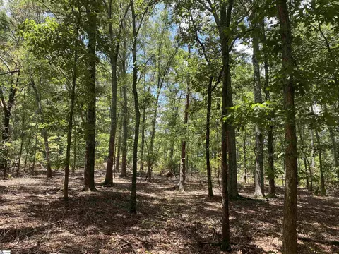 00 Snow Rd, Pelzer, SC 29669 photo 22