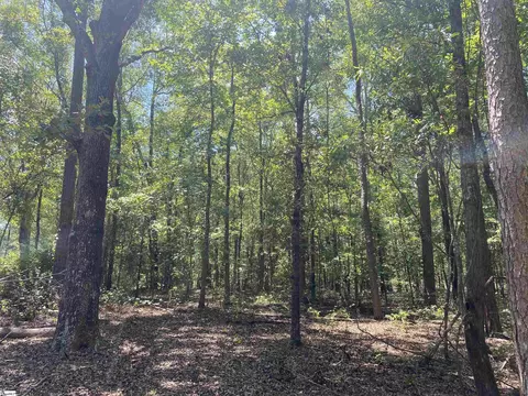 00 Snow Rd, Pelzer, SC 29669 photo 15