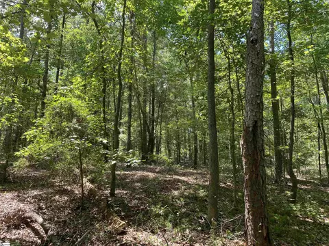00 Snow Rd, Pelzer, SC 29669 photo 19